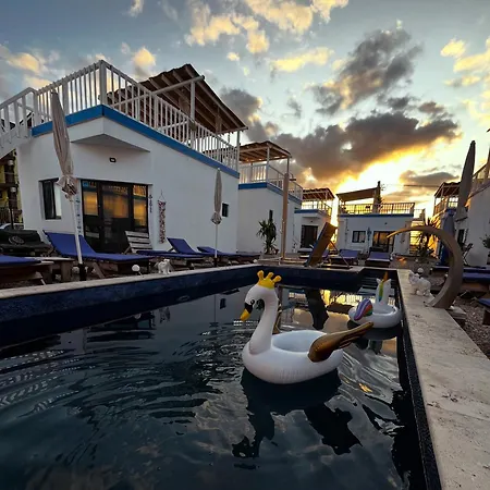 Beach Bungalows Costinesti